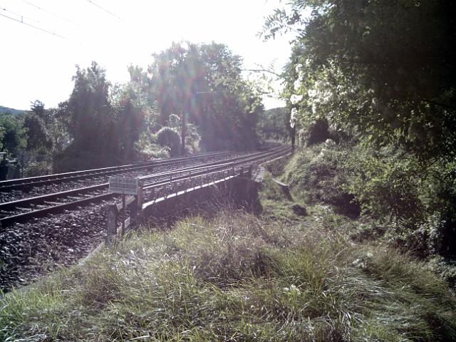 2010-09-21-reco - dourdan (11)