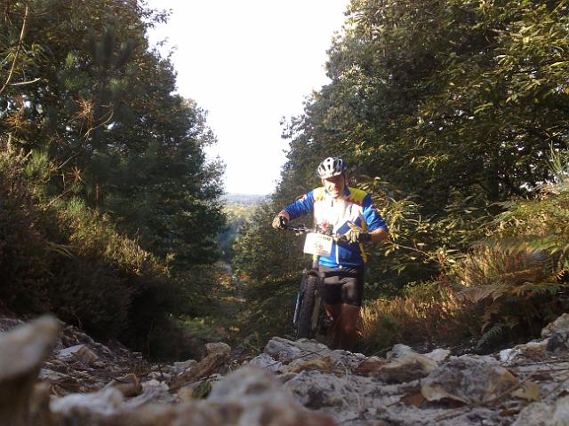 2010-10-03-chataignes (05)
