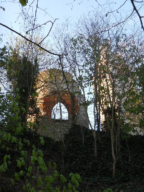2012-04-08-linas (08)