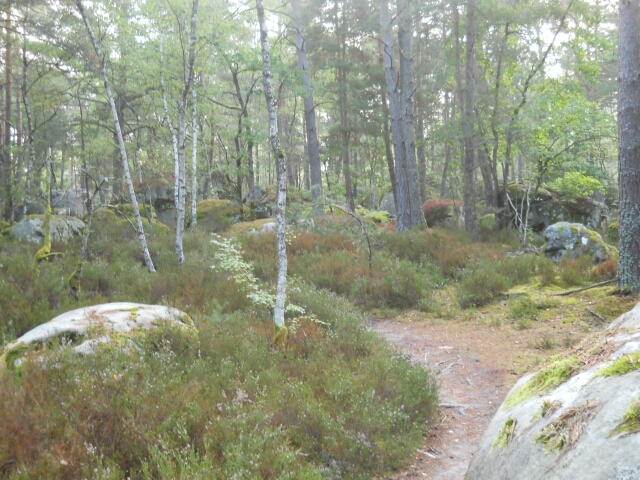 2015-09-02-le-vaudoue (03)