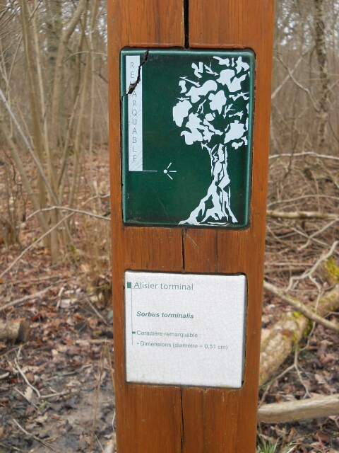 2016-03-10-bondoufle (16)