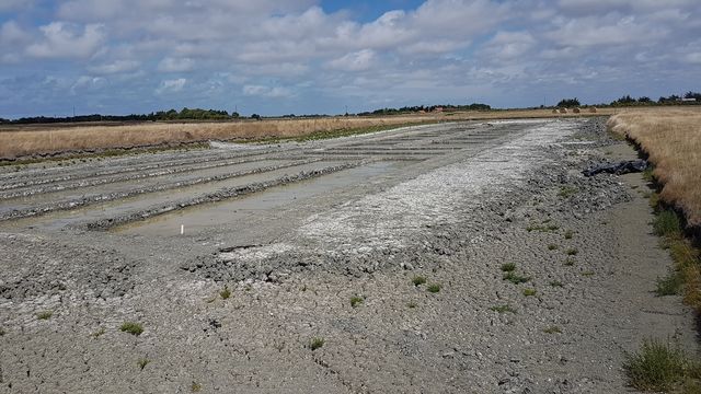 2017-08-02 - la barre-de-monts (12)