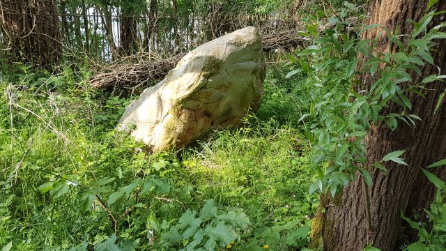 2018-05-16 - breuillet (19)