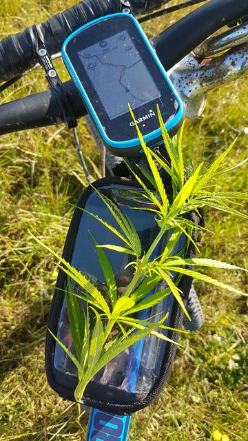 2018-07-10 - la garnache (09)