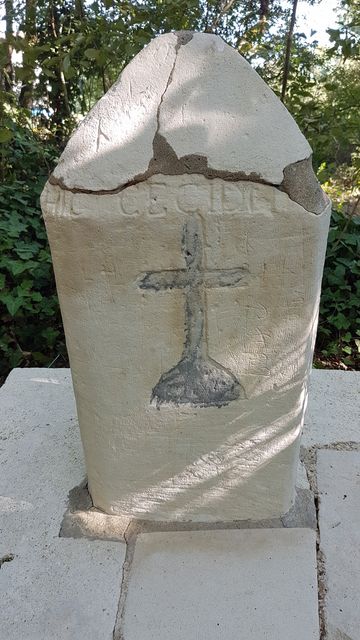 2018-08-04 - sallertaine (07)