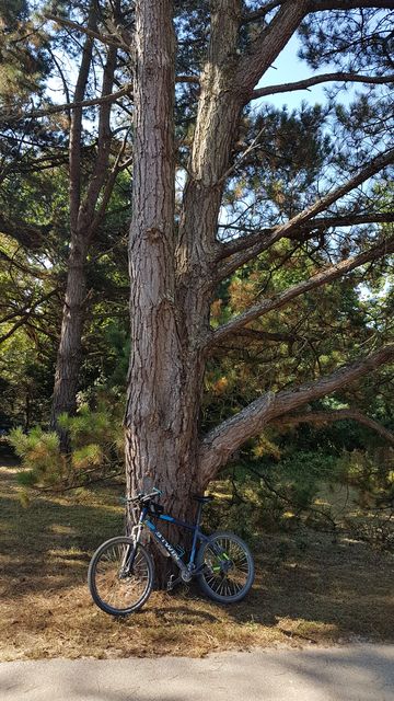 2018-08-04 - sallertaine (10)