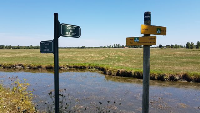 2018-08-04 - sallertaine (24)