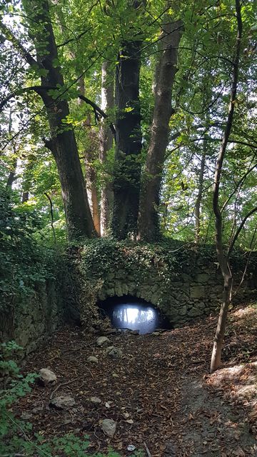 2018-08-19 - ponthierry (18)