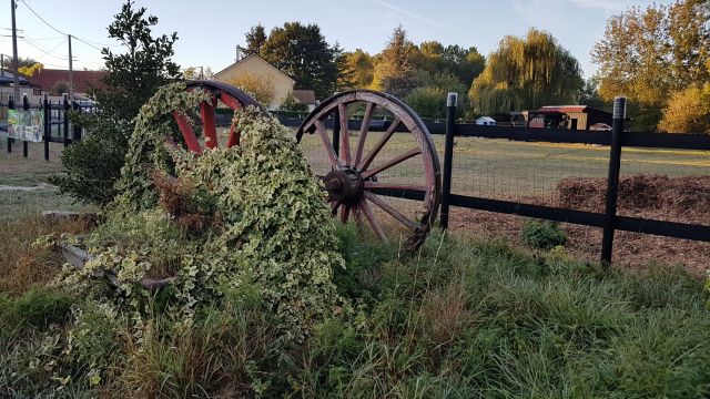 2018-09-16 - maintenon (07)