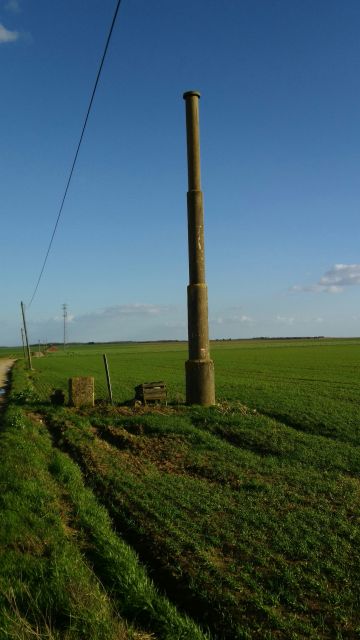 2019-03-11 - champcueil (05)