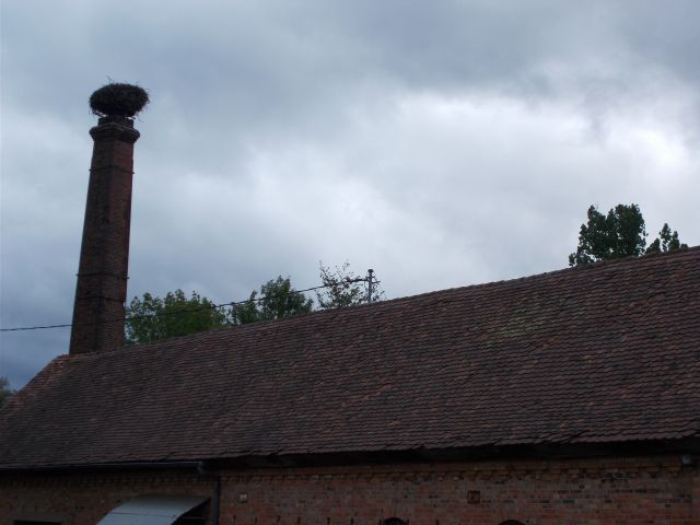 2019-05-11 - schoenenbourg (99)