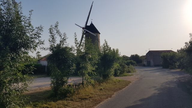 2019-07-23 - bouin (02)