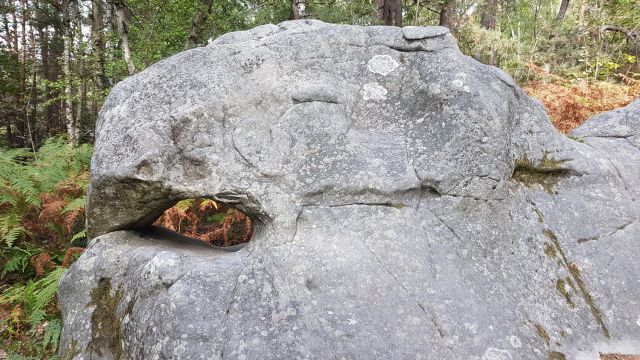 2019-09-01 - rambouillet (30)