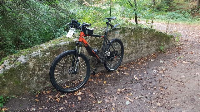 2019-09-29 - saint-remy-les-chevreuse (16)
