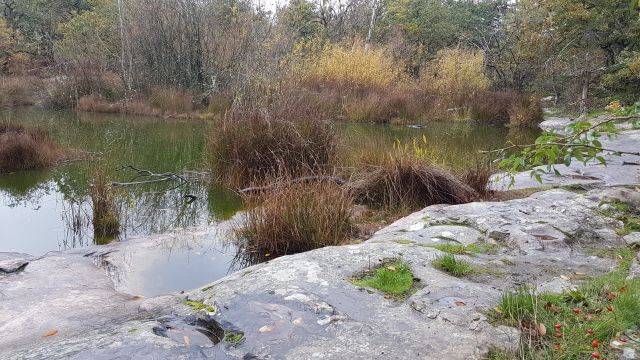 2019-11-10-lardy (31)