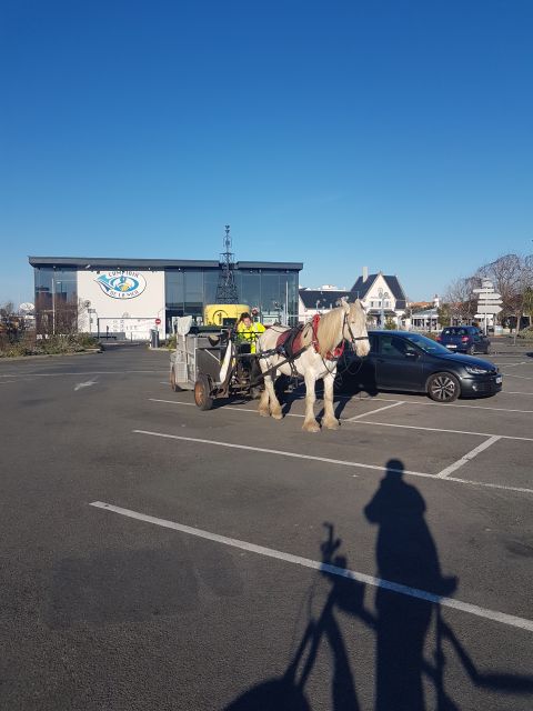 2020-11-29 - bretignolles-sur-mer (03)