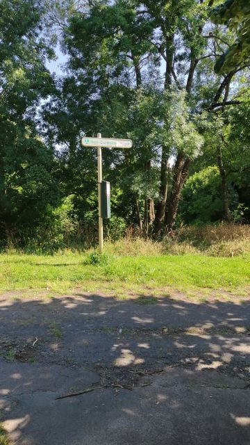 2021-06-25 - la-roche-sur-yon (03)