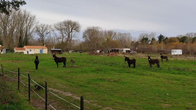 2021-11-28 - st jean-de-monts (10)