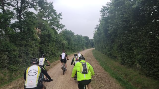 2022-05-22 - martinet (13)
