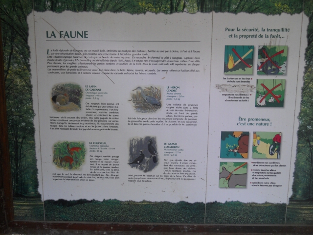 2015-05-08-bondoufle (04)
