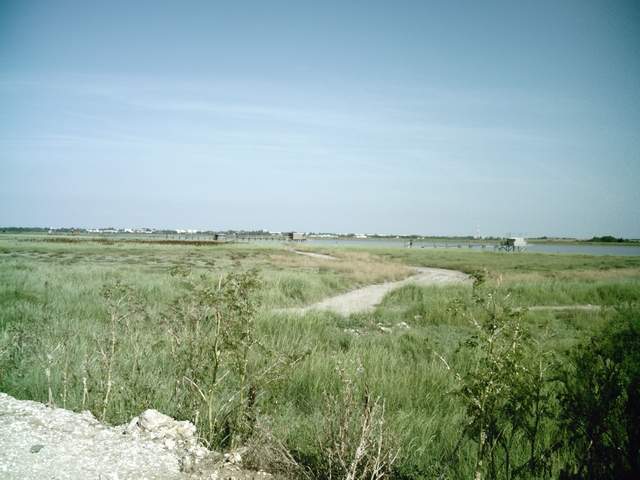 2007-06-12 - club (09)