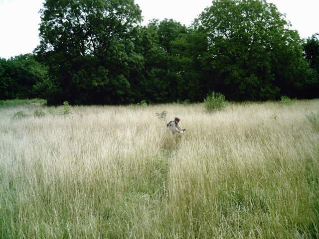 2007-06-24 - verneuillaise (06)