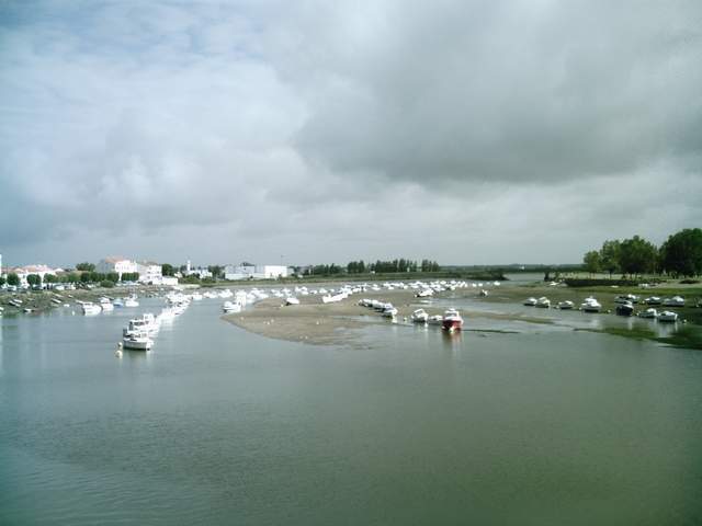 2007-07-27 (14)