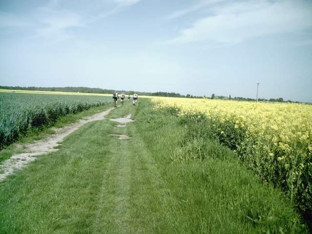 2008-05-04 - nesles (13)