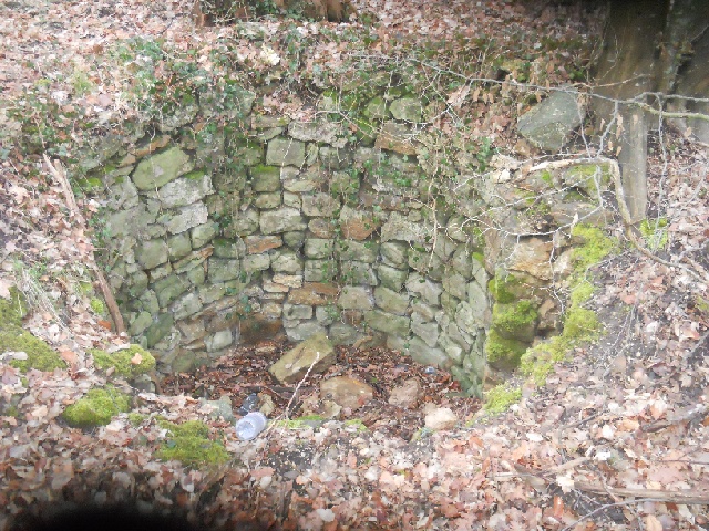 2013-02-17-dammarie-les-lys (02)