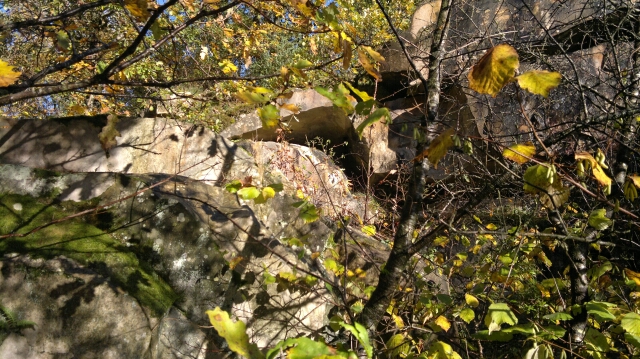 2013-11-10-lardy (06)