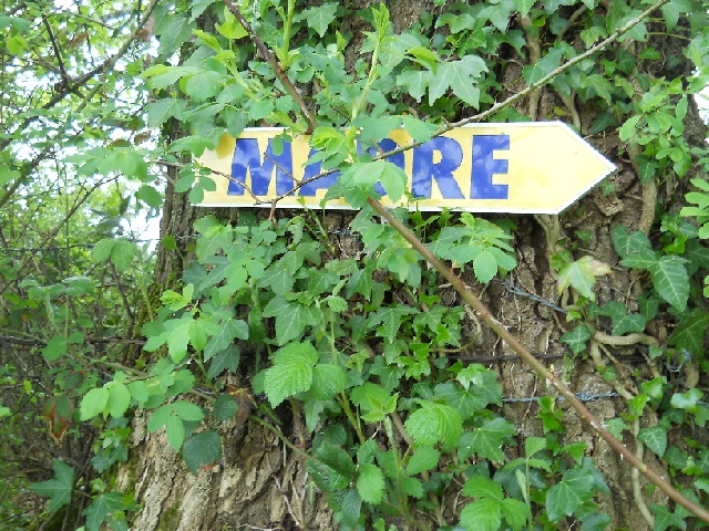 2013-05-09-lassay-les-chateaux (02)