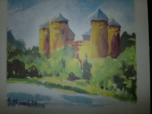 2013-05-09-lassay-les-chateaux (07)