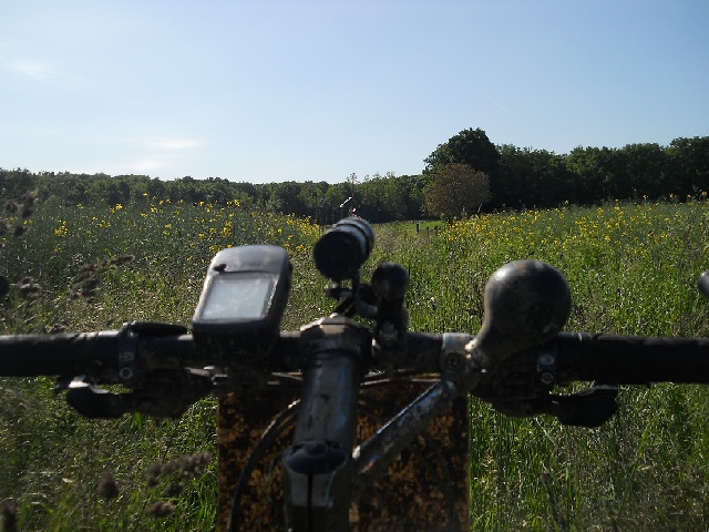 2013-06-02-leudeville (03)