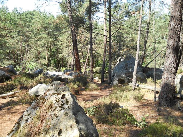 2011-07-03-maisse (11)