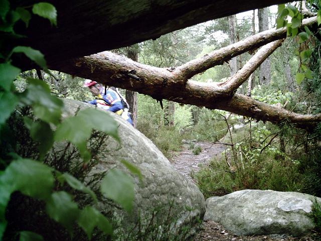 2009-05-10-polinoise (03)
