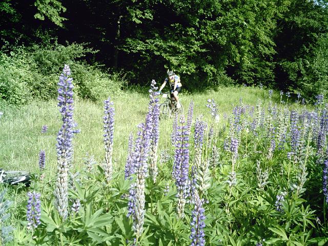 2009-06-14-dourdan (07)