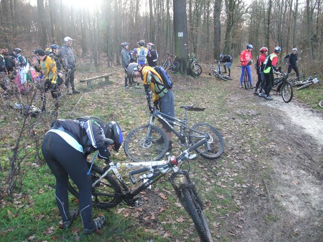2010-17-01-beau mollet (06)