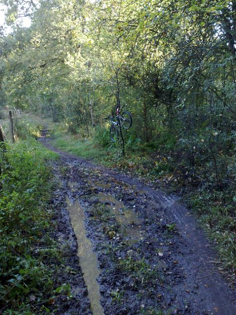 2010-10-03-chataignes (06)