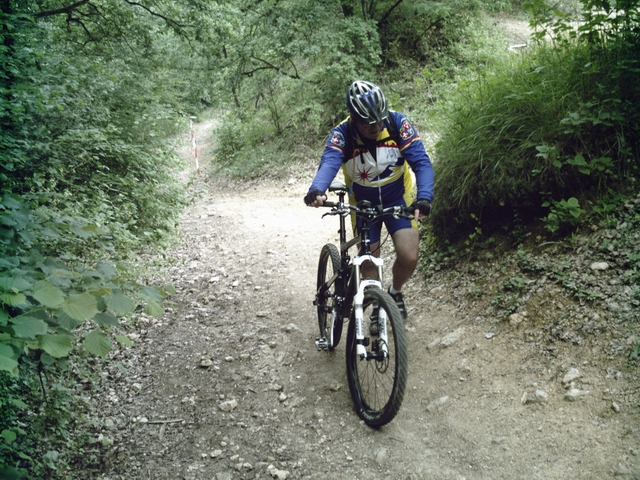 2008-06-15 - andains (07)