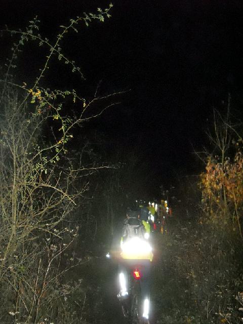 2011-11-05-bois-le-roi (18)