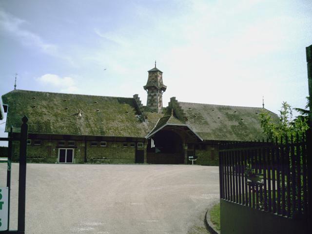2010-05-09 - mormant (30)
