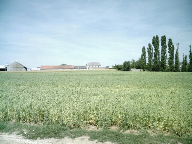 2010-06-25-etampes (13)