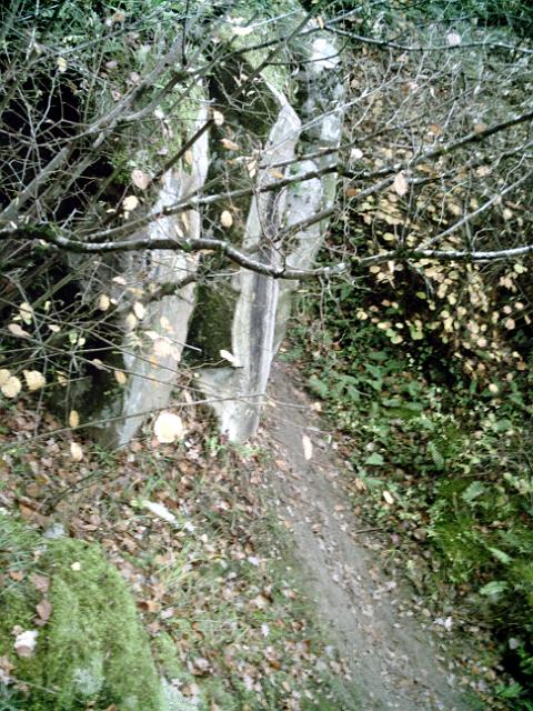 2010-11-07-lardy (01)