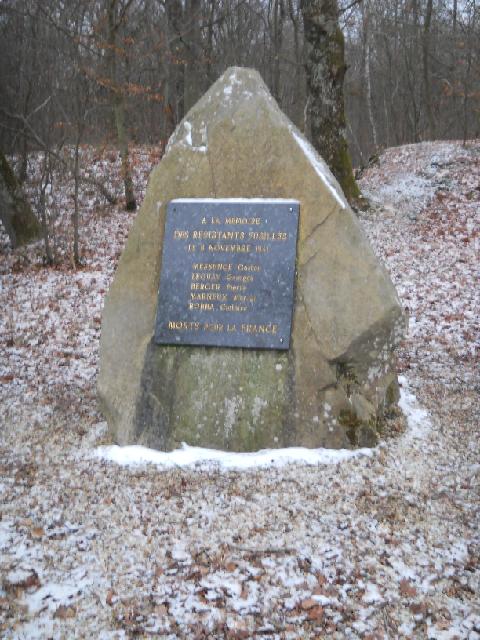 2012-02-05-dammarie (01)