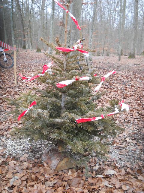 2012-02-05-dammarie (05)