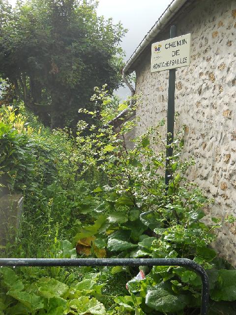 2012-07-08-melun (04)