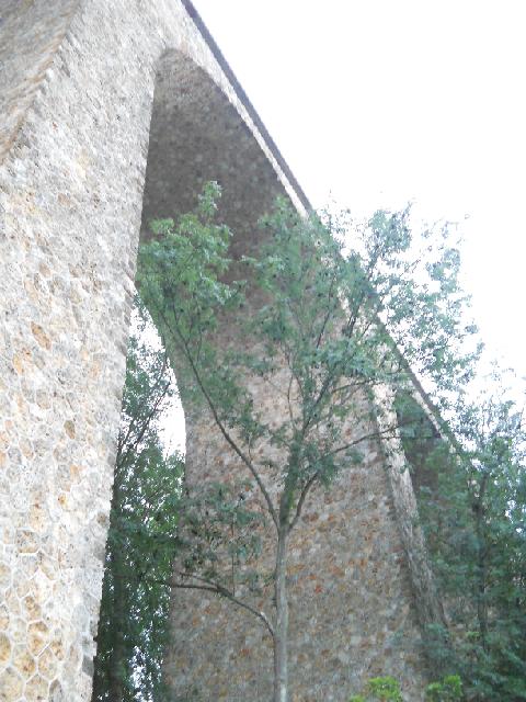 2012-10-07-beauregard (02)