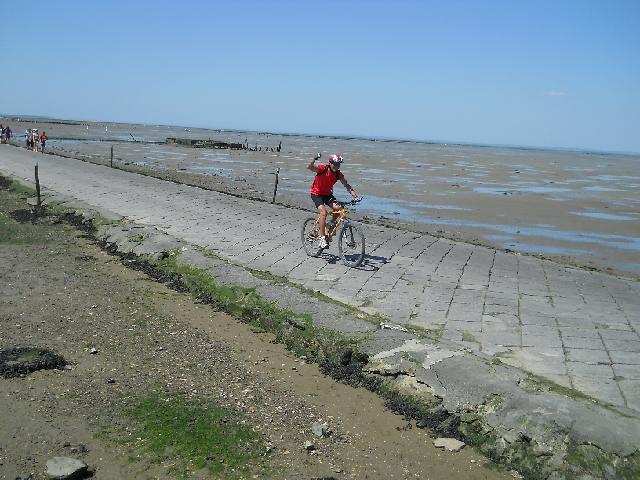 2012-07-25-noirmoutier (15)