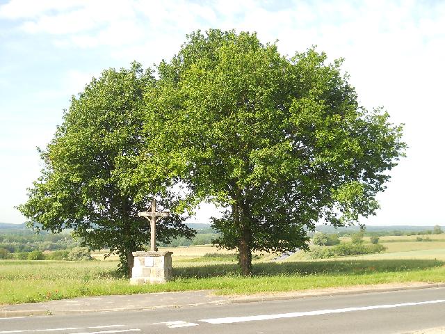 2012-06-02-ollainville (01)