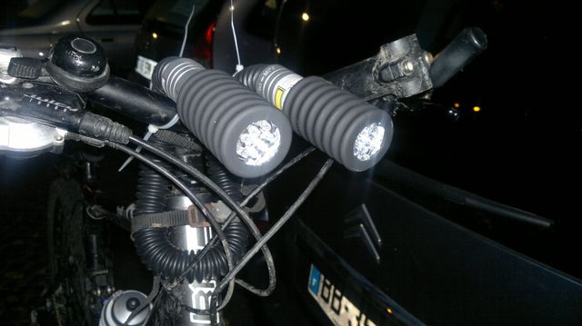 2012-11-17-bois-le-roi (00)